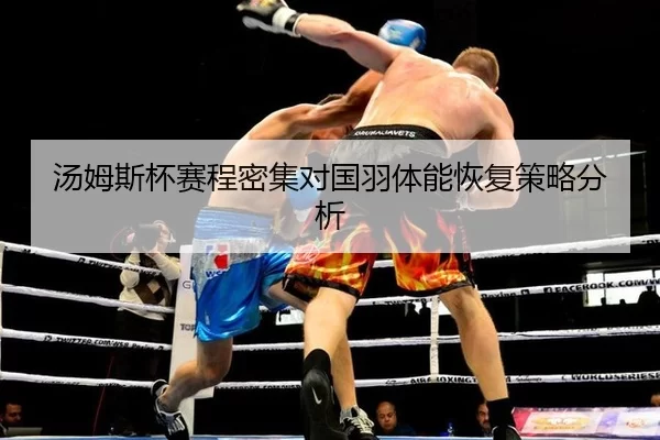 汤姆斯杯赛程密集对国羽体能恢复策略分析